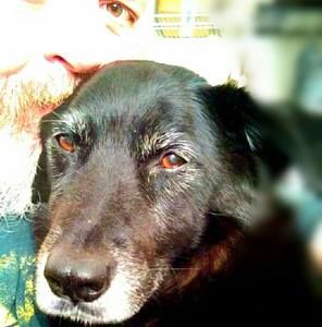 Meet your Posher, John-magdalene